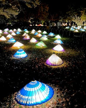 国営昭和記念公園 秋の夜散歩に投稿された画像（2022/11/20）