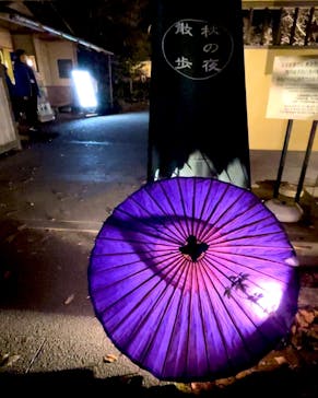 国営昭和記念公園 秋の夜散歩に投稿された画像（2022/11/20）