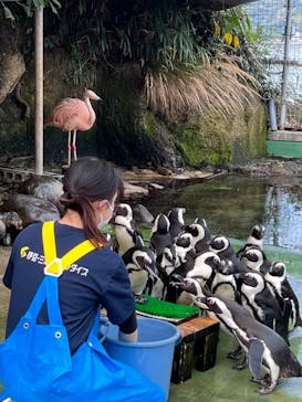 伊豆・三津シーパラダイスに投稿された画像（2022/11/20）