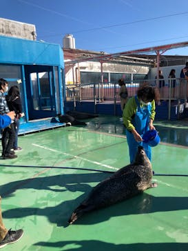 ゼロ距離水族館 伊勢シーパラダイスに投稿された画像（2022/11/20）