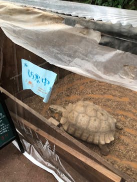 ゼロ距離水族館 伊勢シーパラダイスに投稿された画像（2022/11/20）