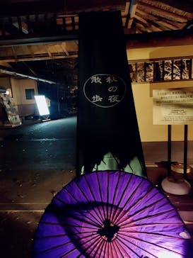 国営昭和記念公園 秋の夜散歩に投稿された画像（2022/11/20）