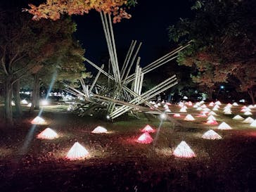 国営昭和記念公園 秋の夜散歩に投稿された画像（2022/11/20）