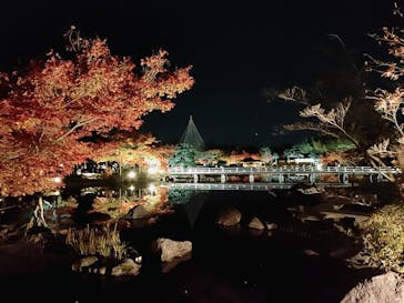 国営昭和記念公園 秋の夜散歩に投稿された画像（2022/11/20）