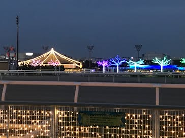 東京メガイルミに投稿された画像（2022/11/20）