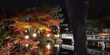 国営昭和記念公園 秋の夜散歩に投稿された画像（2022/11/20）