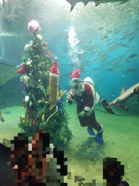 越前松島水族館に投稿された画像（2022/11/20）