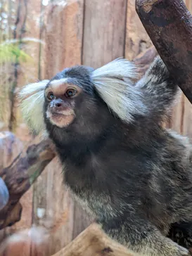 神戸どうぶつ王国に投稿された画像（2022/11/20）