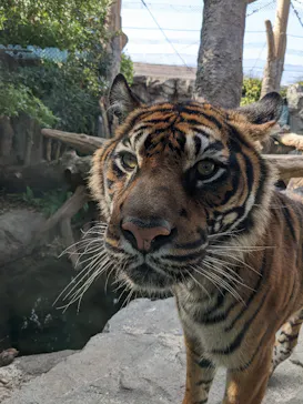 神戸どうぶつ王国に投稿された画像（2022/11/20）