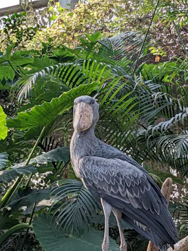神戸どうぶつ王国に投稿された画像（2022/11/20）