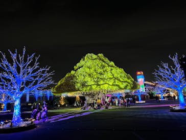 東京メガイルミに投稿された画像（2022/11/20）