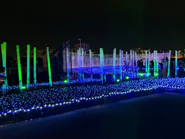 東京メガイルミに投稿された画像（2022/11/20）