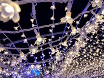 東京メガイルミに投稿された画像（2022/11/20）