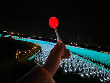 東京メガイルミに投稿された画像（2022/11/20）