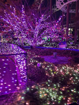 ひらかたパークに投稿された画像（2022/11/20）