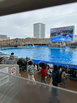 名古屋港水族館に投稿された画像（2022/11/20）