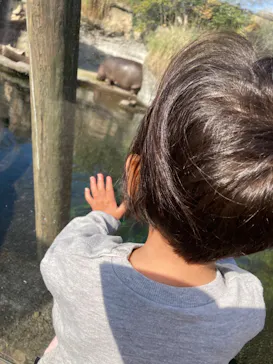 天王寺動物園に投稿された画像（2022/11/20）