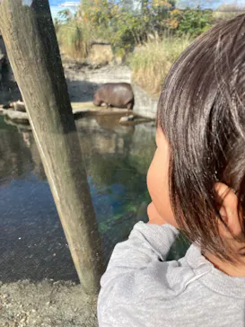 天王寺動物園に投稿された画像（2022/11/20）