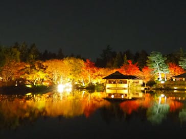 国営昭和記念公園 秋の夜散歩に投稿された画像（2022/11/20）