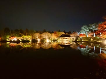 国営昭和記念公園 秋の夜散歩に投稿された画像（2022/11/20）