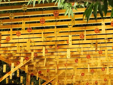 国営昭和記念公園 秋の夜散歩に投稿された画像（2022/11/20）