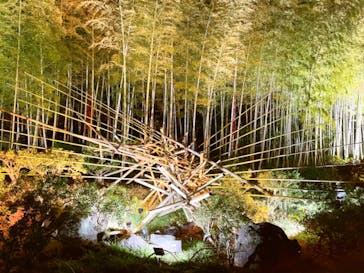 国営昭和記念公園 秋の夜散歩に投稿された画像（2022/11/20）