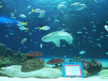 サンシャイン水族館に投稿された画像（2022/11/20）