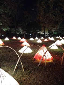 国営昭和記念公園 秋の夜散歩に投稿された画像（2022/11/20）