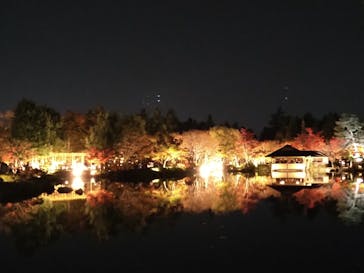 国営昭和記念公園 秋の夜散歩に投稿された画像（2022/11/20）