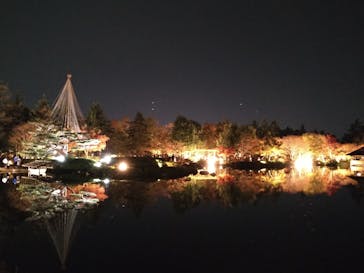 国営昭和記念公園 秋の夜散歩に投稿された画像（2022/11/20）