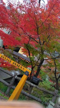 アソビュー株式会社　150881に投稿された画像（2022/11/20）