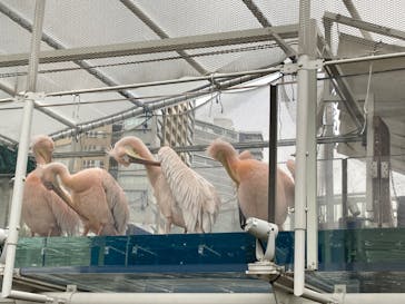 サンシャイン水族館に投稿された画像（2022/11/20）