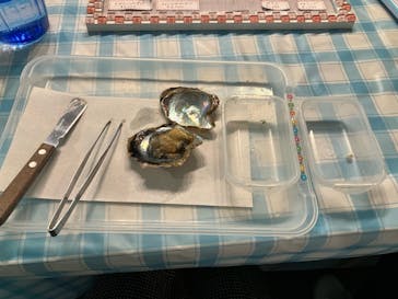 しながわ水族館に投稿された画像（2022/11/20）