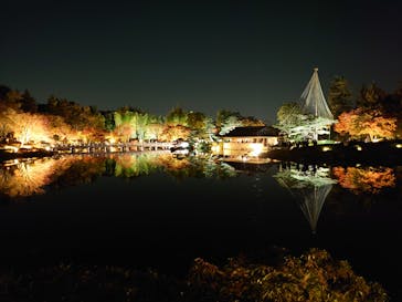 国営昭和記念公園 秋の夜散歩に投稿された画像（2022/11/20）