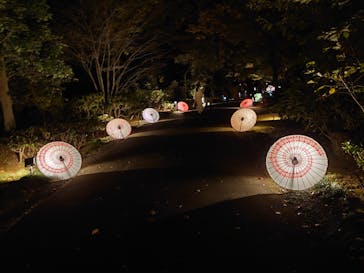 国営昭和記念公園 秋の夜散歩に投稿された画像（2022/11/20）