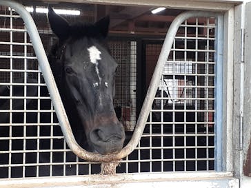 ノーザンホースパークに投稿された画像（2022/11/20）