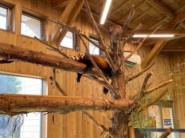 伊豆シャボテン動物公園に投稿された画像（2022/11/20）