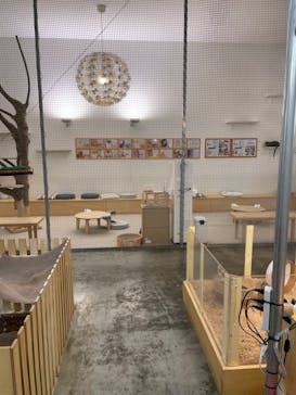 Moff アニマル カフェ イーアス 高尾店に投稿された画像（2022/11/20）