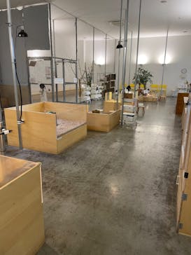 Moff アニマル カフェ イーアス 高尾店に投稿された画像（2022/11/20）