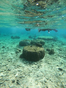 沖縄マリンサービス碧に投稿された画像（2022/11/20）