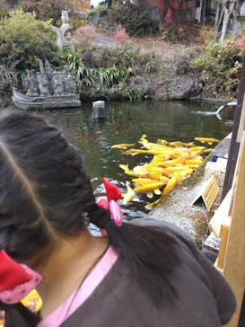 昇仙峡ロープウェイに投稿された画像（2022/11/20）