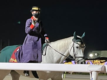 東京メガイルミに投稿された画像（2022/11/20）