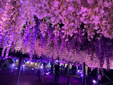 東京メガイルミに投稿された画像（2022/11/20）