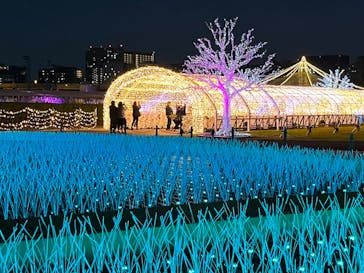 東京メガイルミに投稿された画像（2022/11/20）