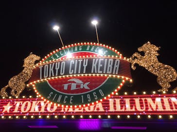 東京メガイルミに投稿された画像（2022/11/20）