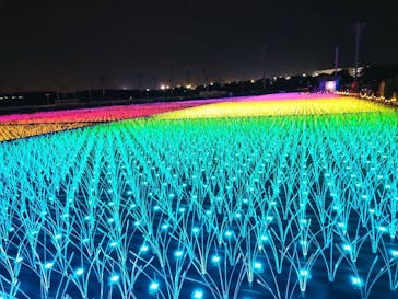 東京メガイルミに投稿された画像（2022/11/20）