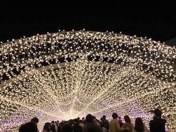 東京メガイルミに投稿された画像（2022/11/20）