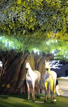 東京メガイルミに投稿された画像（2022/11/20）