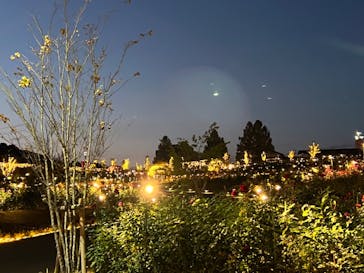 いばらきフラワーパークに投稿された画像（2022/11/20）