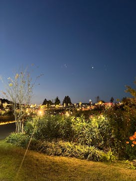 いばらきフラワーパークに投稿された画像（2022/11/20）